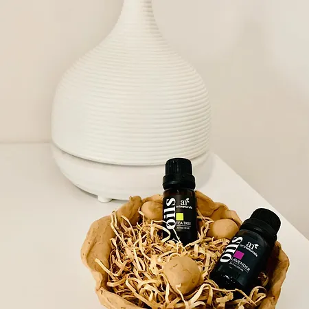 Portamiportese Trastevere Terrace Rome